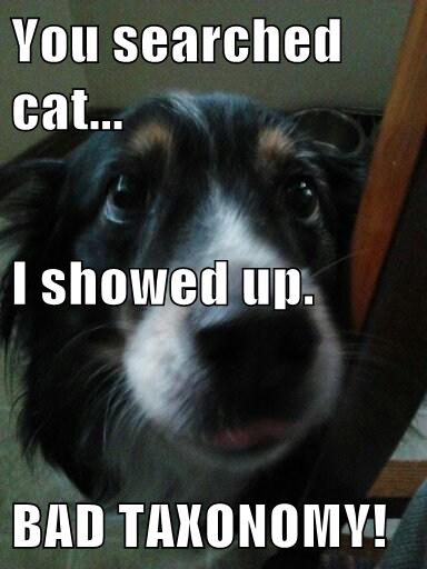 badtaxonomydog